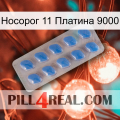 Носорог 11 Платина 9000 22